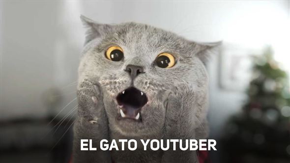 Viscoso gobierno Ejecutante El gato más famoso de youtube combatiendo con ladrones - Público TV