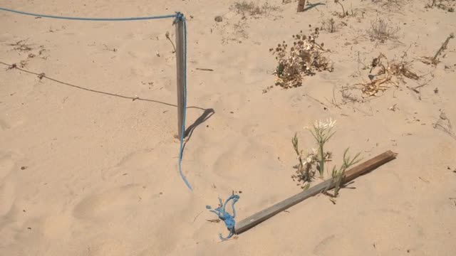 Unauthorized Access to Protected Dunes in Zahara de los Atunes: A Threat to the Ecosystem